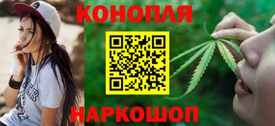скорость Новозыбков