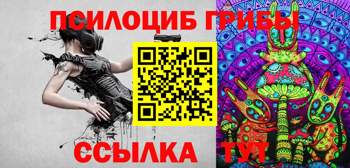 Первоуральск  наркота  Вход с VPN  Псилоцибиновые грибы GOLDEN TEACHER 